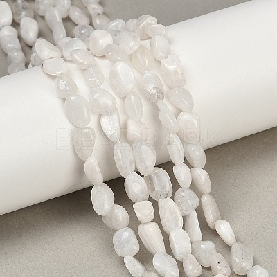 Natural Rainbow Moonstone Beads Strands G-G018-48-01-1