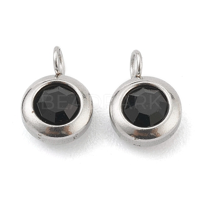 304 Stainless Steel Rhinestone Charms STAS-Z009-04-02P-1