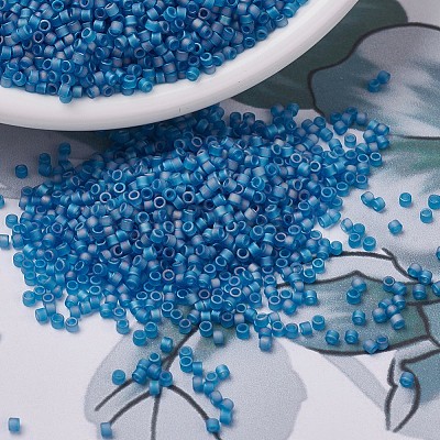 MIYUKI Delica Beads SEED-J020-DB0862-1