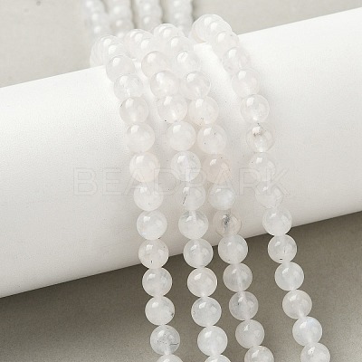 Natural Rainbow Moonstone Beads Strands G-I249-B04-04-1