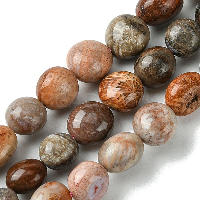 Natural Fossil Coral Beads Strands G-G117-A01-02-1