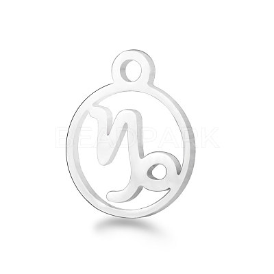 Non-Tarnish 201 Stainless Steel Charms STAS-T014-T505-10-1