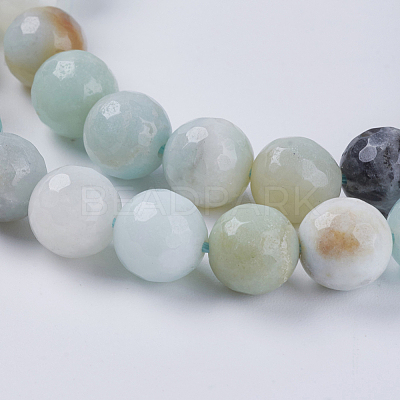 Natural Flower Amazonite Beads G-H1431-2-1