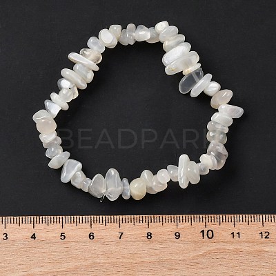 Natural White Moonstone Stretch Bracelets X-BJEW-JB03681-09-1