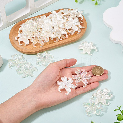 40Pcs 2 Styles Plastic Bead Caps KY-TA0001-67-1