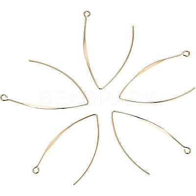 Brass Earring Hooks KK-BC0003-75G-1