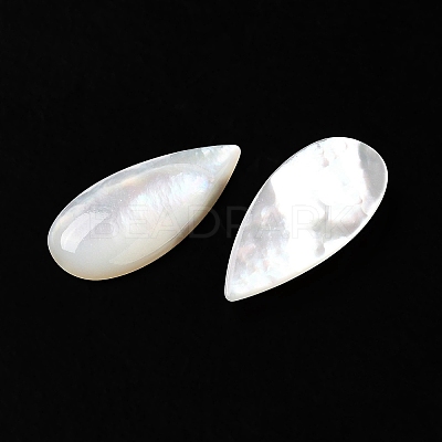 Natural White Shell Cabochons SSHEL-M022-04-1