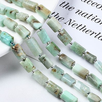 Natural Chrysoprase Beads Strands X-G-S376-013-1