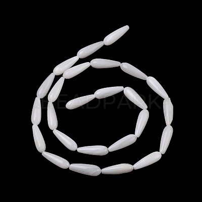 Natural Freshwater Shell Beads Strands SHEL-A004-03-1