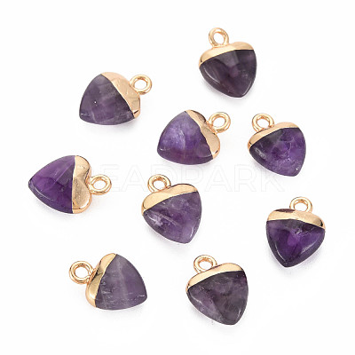 Natural Amethyst Charms G-N326-121-03-1