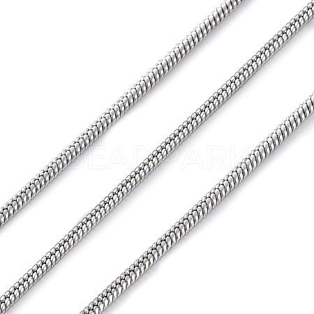 304 Stainless Steel Round Snake Chains CHS-M009-01P-02A-1