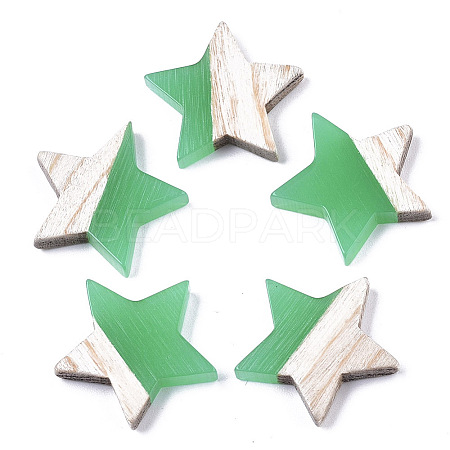 Resin & Wood Cabochons LS-RESI-R425-02D-1