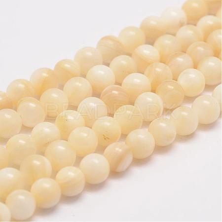 Natural Shell Bead Strands G-K153-B47-6mm-1