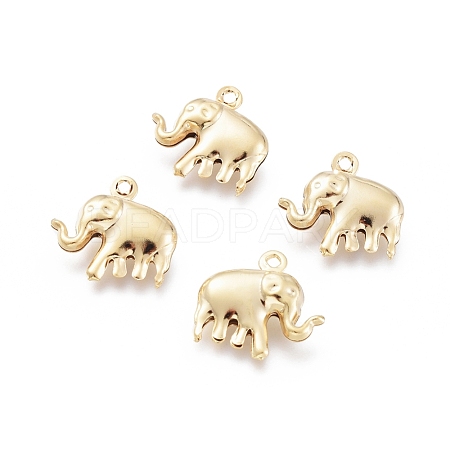 304 Stainless Steel Charms STAS-H413-13G-1