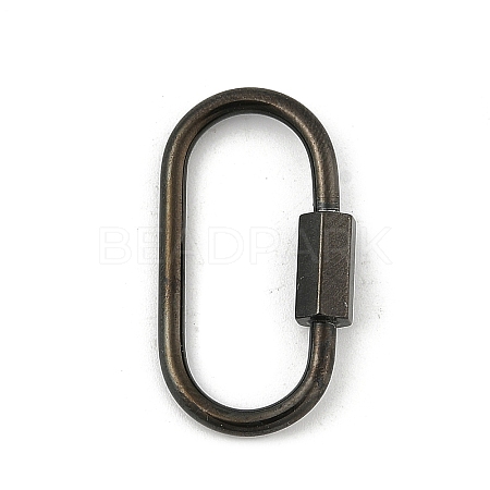 Ion Plating(IP) 304 Stainless Steel Screw Carabiner Lock Charms STAS-H107-04D-B-1