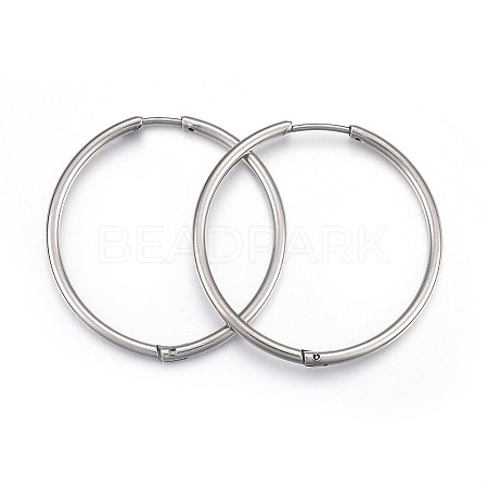 304 Stainless Steel Huggie Hoop Earrings X-EJEW-L205-02A-P-1