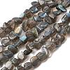 Natural Labradorite Beads Strands G-A279-A01-01-2