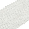 Handmade Millefiori Glass Flat Round Bead Strands LK-P010-05-1
