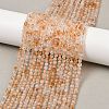 Heated Natural Citrine Bead Strands X-G-P466-01E-01-1