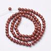 Natural Red Jasper Round Beads Strands GSR4mmC011-3