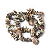 Natural Paua Shell Beads Strands SHEL-F006-02-2