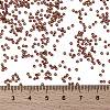 MIYUKI Round Rocailles Beads X-SEED-G009-RR0301-3