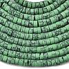 Dyed Synthetic Turquoise Beads Strands G-Z089-A04-J-5
