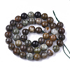 Natural Serpentine Beads Strands G-S333-6mm-015-2