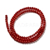 Natural Freshwater Shell Beads Strands SHEL-H003-03G-2
