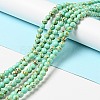 Synthetic Turquoise Beads Strands TURQ-H038-6mm-XXS10-2