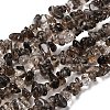 Natural Smoky Quartz Chips Beads Strands F037-2