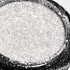 Nail Art Glitter Powder MRMJ-R066-04-5