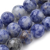 Natural Brazil Blue Spot Jasper Beads Strands G-S259-36-12mm-1