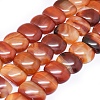 Natural Red Agate Beads Strands G-I245-31B-1