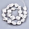 Electroplated Natural Freshwater Shell Beads Strands SHEL-R113-01F-2