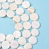 Natural Freshwater Shell Beads X-S00C20W3-2