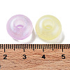 Transparent Acrylic Beads OACR-Z013-19-4