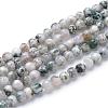 Natural Tree Agate Bead Strands G-R412-25-6mm-1