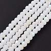 Electroplate Glass Beads Strands EGLA-A034-J10mm-L08-2