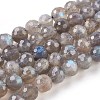Natural Labradorite Beads Strands G-O176-04B-1
