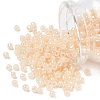 TOHO 6/0 Round Beads SEED-XTR06-0147-1