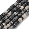 Natural Black Netstone Beads Strands G-Z110-A23-2x4mm-2