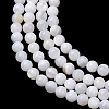 Natural Freshwater Shell Beads Strands SH-CBA2978-07D-03-2