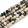 Natural Fire Crackle Agate Beads Strands G-C082-A01-49-2