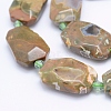 Natural Rhyolite Jasper Beads Strands G-J373-24I-2