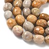 Natural Fossil Coral Beads Strands G-C038-02T-6