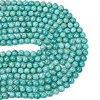 Natural Amazonite Beads Strands G-G453-A02-10mm-5