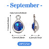 20Pcs Faceted Glass Charms RGLA-TADJ0001-01I-3