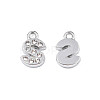 304 Stainless Steel Charms STAS-N095-137S-2