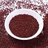 MIYUKI Delica Beads SEED-MY11-DB2120-2